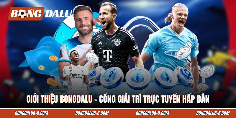 Giới thiệu Bongdalu – Cổng Giải Trí Trực Tuyến Hấp Dẫn