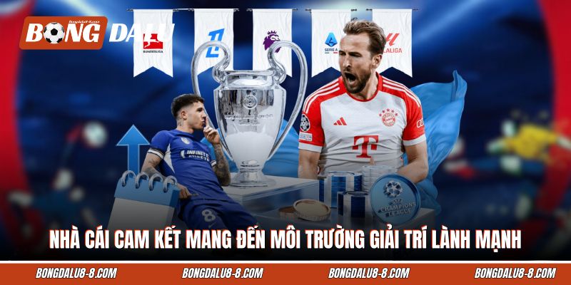 Nhà cái cam kết mang đến môi trường giải trí lành mạnh